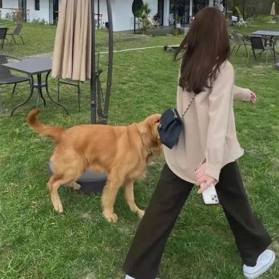 熊出没注意
